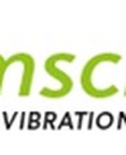 formschön Personal Vibrationstraining Logo