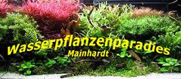 Aquarium mit verschiedenen Pflanzen. Text: "Wasserpflanzenparadies Mainhardt".