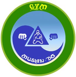 Logotipo circular verde y azul con figura de arte marcial y texto "GYM" y "Mushin Do".