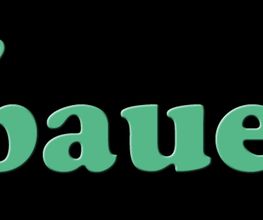 fotostudio bauersachs Logo