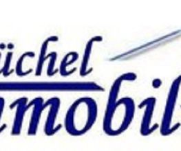 Reno Büchel & Partner Logo