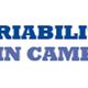 Logo con figure umane e testo "Riabilitazione in Campania" in blu.