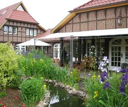 Unser Garten im Sommer