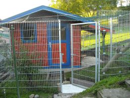 Rotes Gartenhaus mit blauem Rahmen, umgeben von einem Drahtzaun und etwas Grün im Hintergrund.