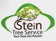 Logo for "Stein Tree Service" with a green tree graphic and slogan, "Your Trees Our Passion".
