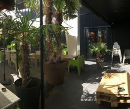 Sonniger Café-Garten mit grünen Stühlen, Holztisch, Pflanzen und Sonnenschirmen.