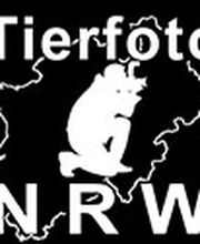 Tierfotografie-NRW Logo
