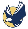Stylized eagle in flight with a blue body and yellow circle background.