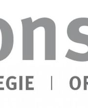 hahn, consultants gmbh Logo