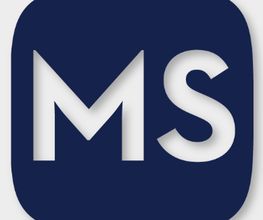 MS Internet Services Logo