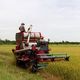 Two farmers operate a red combine harvester in a lush green and yellow field.