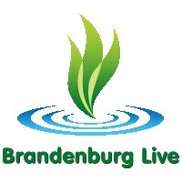 Logo mit grünen Blättern über blauen Wellen und Text "Brandenburg Live".