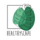 Logo mit Monstera-Blatt und Text "HEALTHYSCAPE". Grafikstil mit rechteckigen Linien.