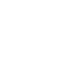 Lohnbüro Liesa Jung Logo