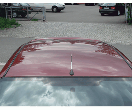 Focus Delle Dach nachher