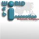 3D-Text: "World Web Innovation" vor Weltkarte, darunter "Business Software" in Rot.