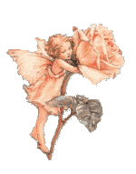 Kleiner Fee in einem rosa Kleid fliegt neben einer großen rosa Blume mit Blättern.