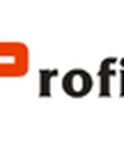 Profi-3D Logo