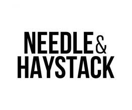 Needle & Haystack GmbH Logo