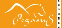 Logo mit stilisiertem Pferd und Schriftzug "Pegasus" auf orangefarbenem Hintergrund.