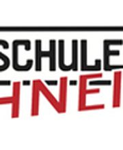 Fahrschule Stefan Schneider Logo