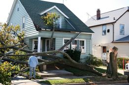 A fallen tree on a house with a man standing nearby, assessing the damage.