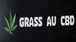 Feuille de cannabis verte à gauche, texte "GRASS AU CBD" en blanc sur fond noir.