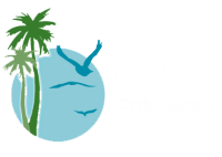 Logo with palm trees and waves, text "CRUZ Orthodontics" on the right.
