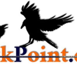 Nockpoint Logo