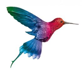 Bunter Kolibri im Flug mit roten, rosa, blauen und grünen Federn auf weißem Hintergrund.