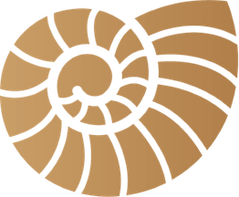Braunes Nautilus-Design mit spiralförmigen Segmenten auf weißem Hintergrund.