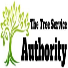 Logo of The Tree Service Authority with a green tree graphic on the left.