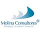 Logo de Molina Consultores con texto "Estrategia y Gestión Comercial" y diseño abstracto azul.