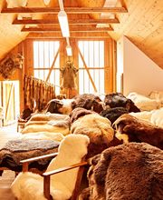 Ein Raum mit vielen verschiedenfarbigen Fellen auf Holzregalen und -tischen.