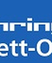 V- Parkett-Outlet.com Logo