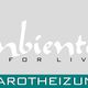 Logo mit Text: "ambiente select - Art for Living, Infrarotheizungen" auf grauem Hintergrund.