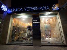 Fachada de una clínica veterinaria iluminada por la noche, con decoración y letrero visible.