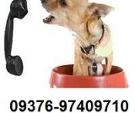 mobile Hundeschule Logo