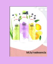 Tres botellas de jugo de aloe vera con frutas y hojas de aloe en un fondo violeta.
