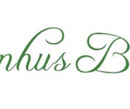 Ferienhus Baabe Logo