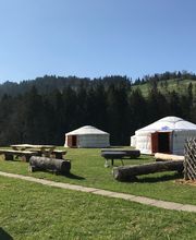 Campingplatz mit mehreren Jurten und Holzbänken auf einer grünen Wiese, umgeben von Wald.