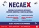 Publicidad de NECAEX, servicios de control de plagas e higiene ambiental. Teléfono y contacto web.