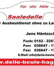 Saaledelle Logo