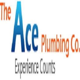 Logo of "The Ace Plumbing Co." with the slogan "Experience Counts."
