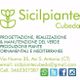 Logo Sicilpiante: progettazione e produzione piante ornamentali. Contatti e social media inclusi.