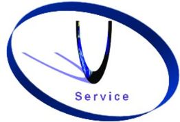 Ovales Logo mit schwarzem "V", blauem Rand und Schriftzug "Service" in der Mitte.