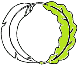 Feder & Blatt GbR Logo