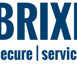 RENÉ BRIXEL IT-SOLUTIONS Logo