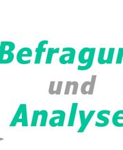 LT Befragung und Analyse Logo