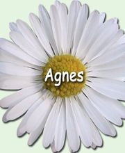 Agnes Logo